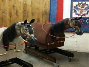 Woody and Ace